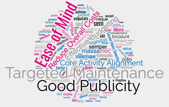 Cloud of words